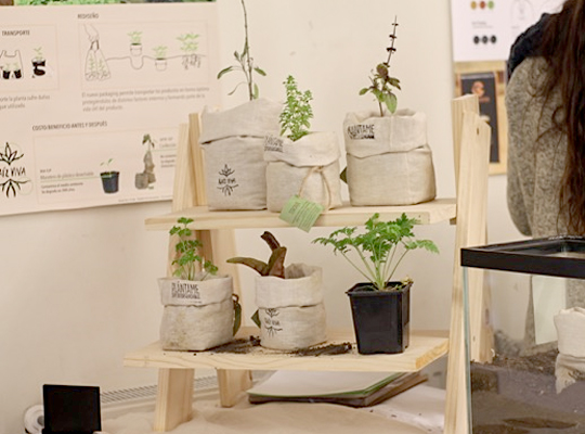 “Diseño de identidad y packaging para productos de micro-emprendedores de la agroindustria en la Región del Maule”